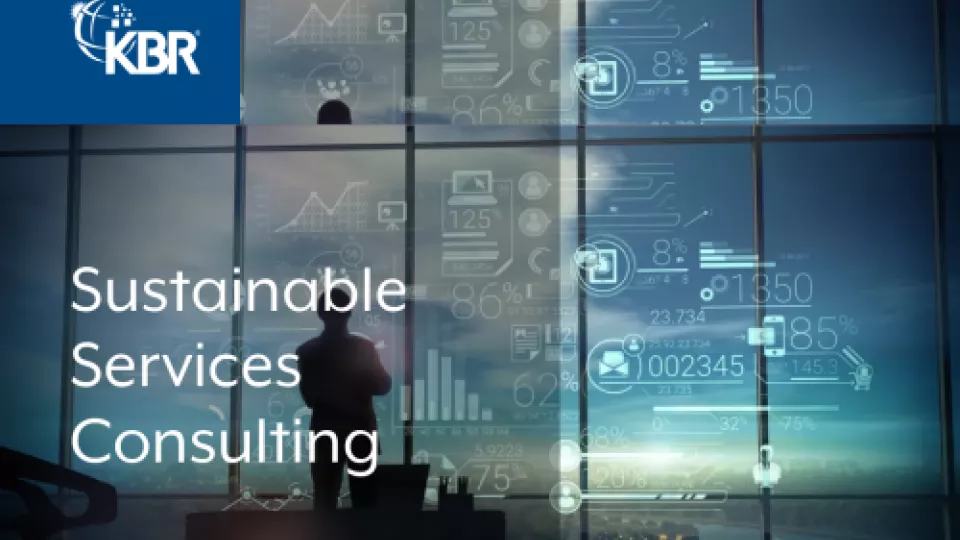 Sustainable Services Consulting